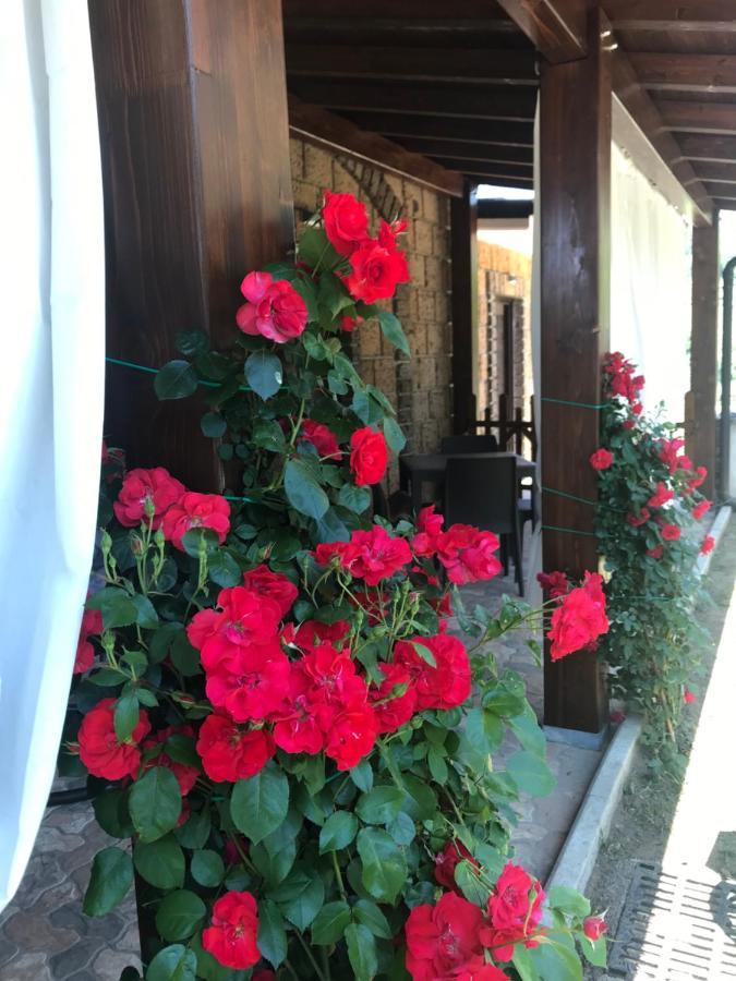 Agriturismo A Casa Di Susanna Santo Stefano del Sole Extérieur photo